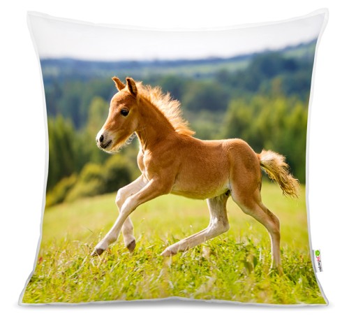 f69d7d96cc3e405bf60445a882e8181e2fc2e8c9